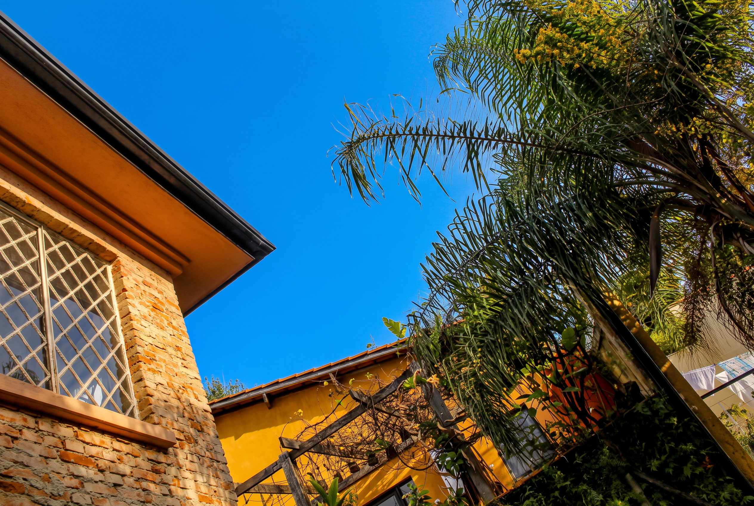 Casarão da Casa Terrária em um dia ensolarado, entre o jardim e o céu azul